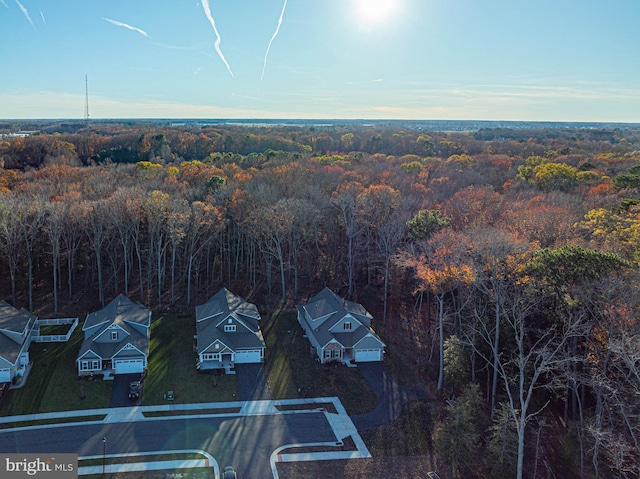 aerial view