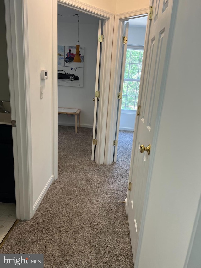 hallway featuring carpet