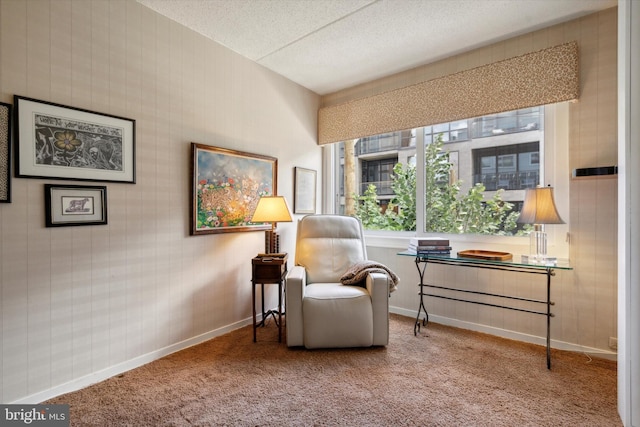 sitting room with carpet flooring and a textured ceiling