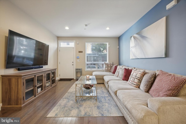 living room with dark hardwood / wood-style flooring