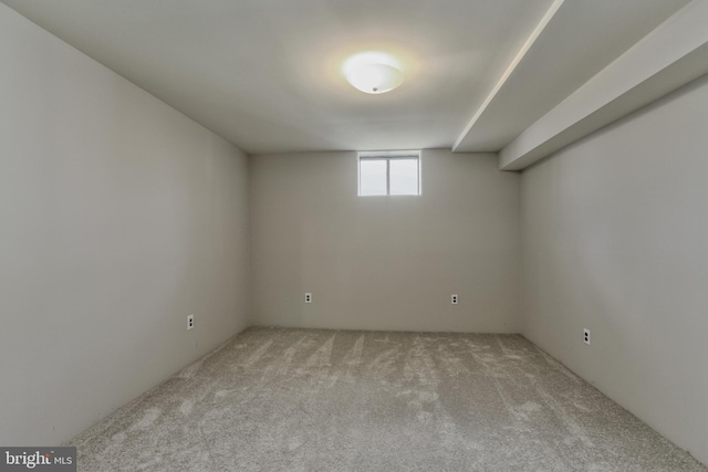 basement featuring carpet