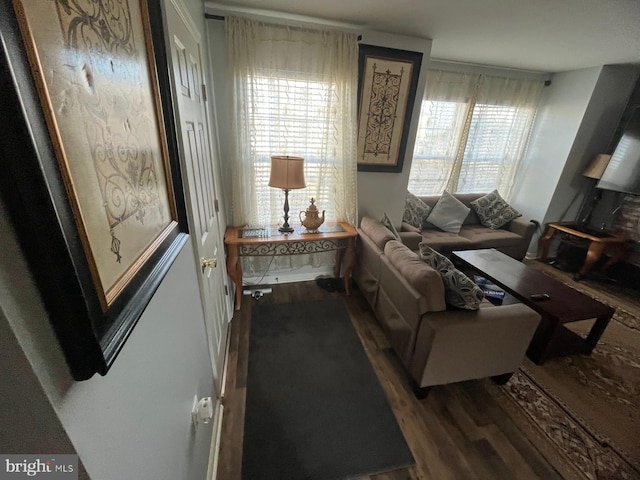 living room featuring dark hardwood / wood-style floors