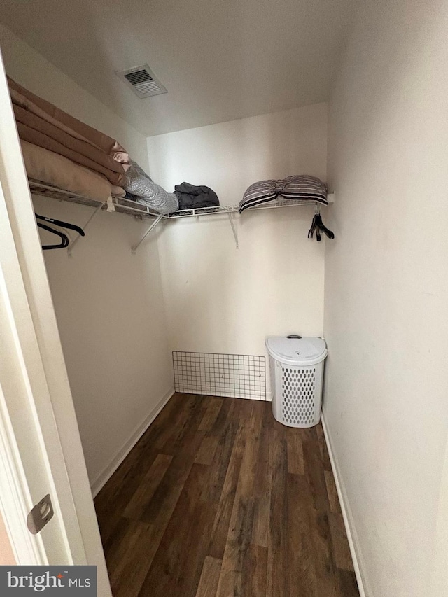 walk in closet featuring dark hardwood / wood-style flooring