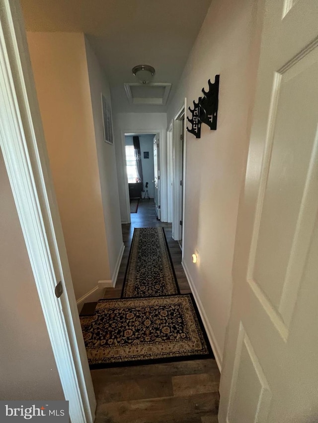 corridor featuring dark hardwood / wood-style floors