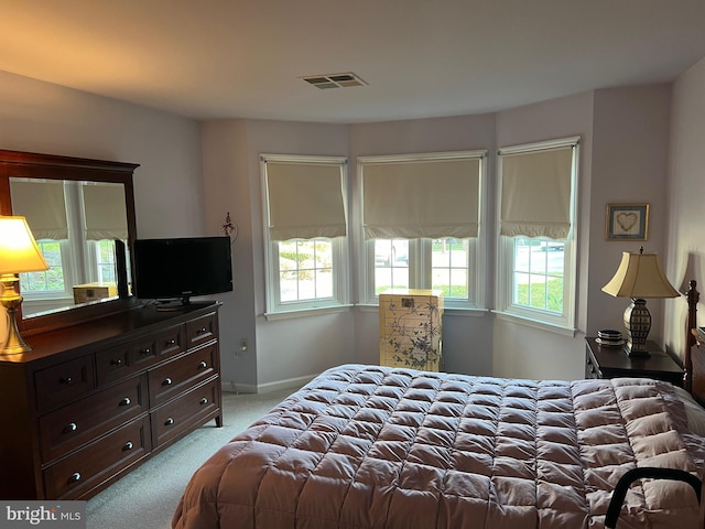 carpeted bedroom with multiple windows