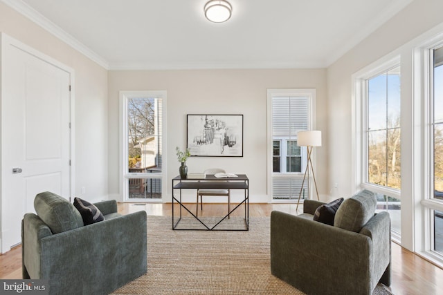 sitting room with ornamental molding and light wood-type flooring