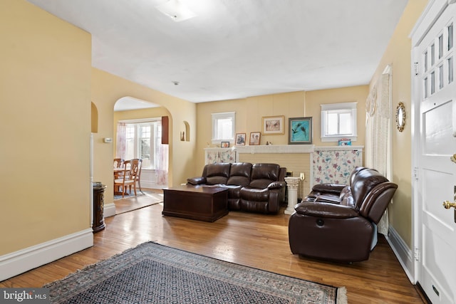 living room with hardwood / wood-style flooring and a wealth of natural light