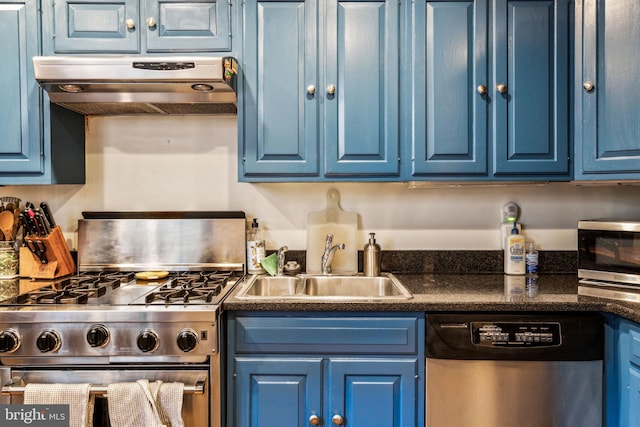 kitchen featuring exhaust hood, stainless steel appliances, and blue cabinets