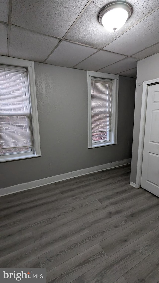 spare room featuring dark hardwood / wood-style floors and a drop ceiling