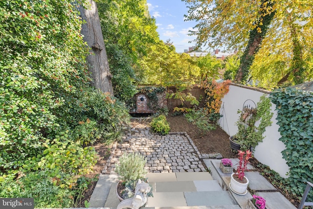 view of yard featuring a patio area