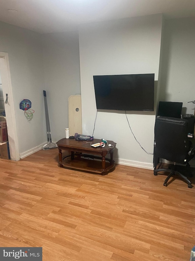 living room featuring light wood-type flooring