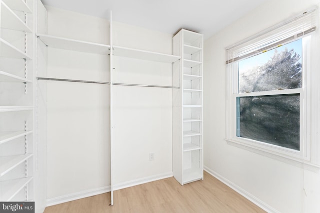 spacious closet with hardwood / wood-style floors