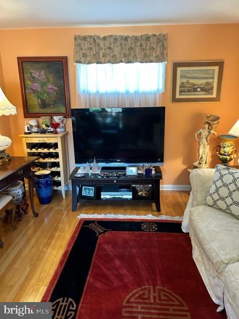 living room featuring hardwood / wood-style flooring