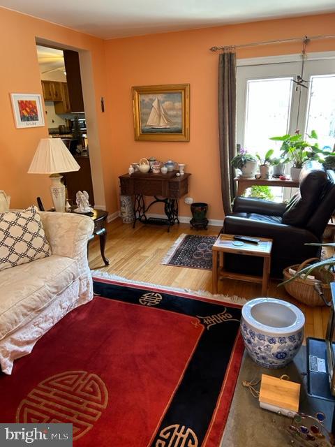 living room with wood-type flooring