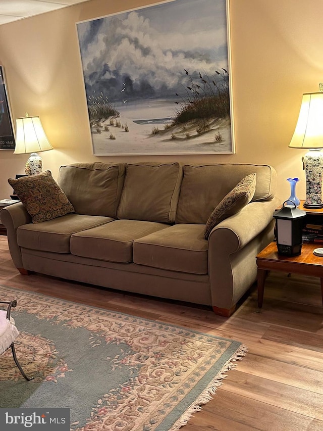 living room featuring hardwood / wood-style flooring