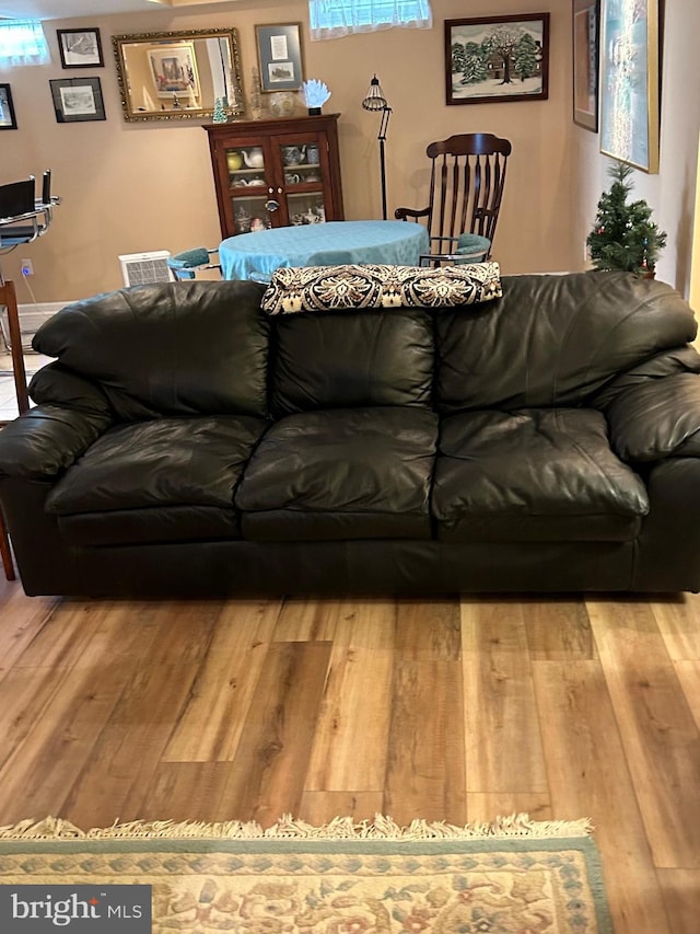 living room with hardwood / wood-style floors