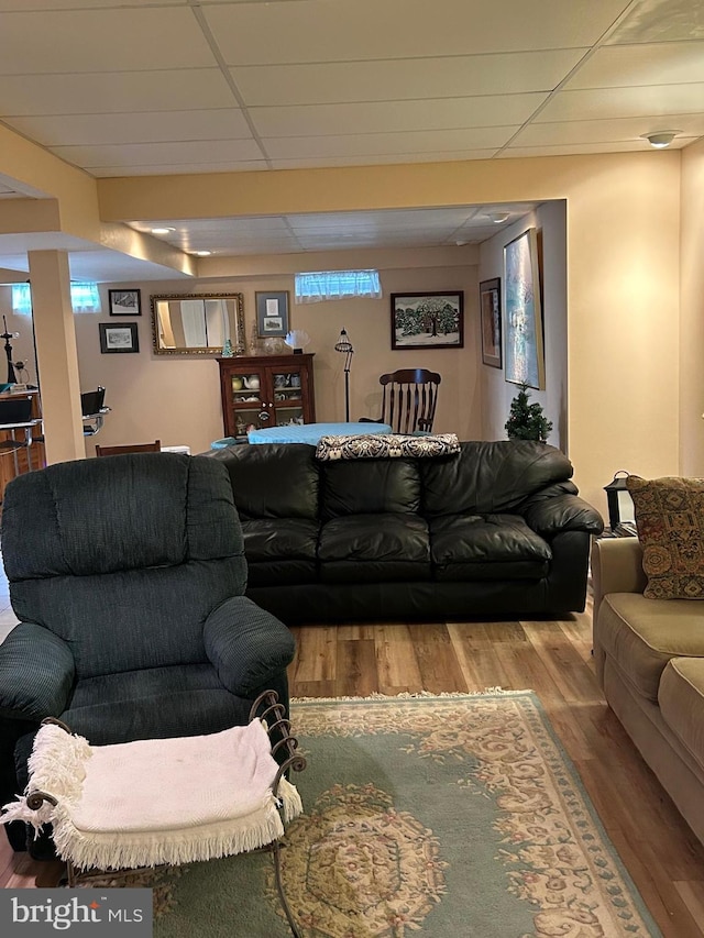 living room featuring a drop ceiling and wood-type flooring