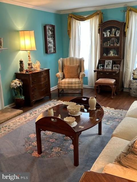 living area featuring dark hardwood / wood-style floors and crown molding