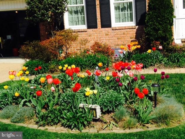 9221 Greenhouse Cir, Nottingham, MD 21236 - view of yard
