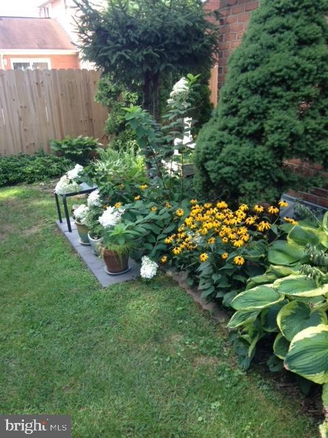 9221 Greenhouse Cir, Nottingham, MD 21236 - view of yard