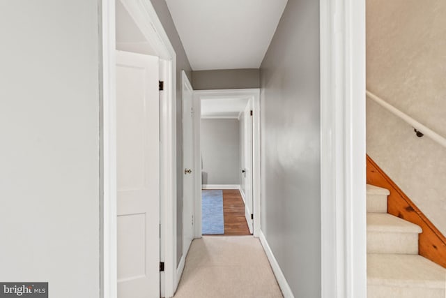 hall with light hardwood / wood-style flooring