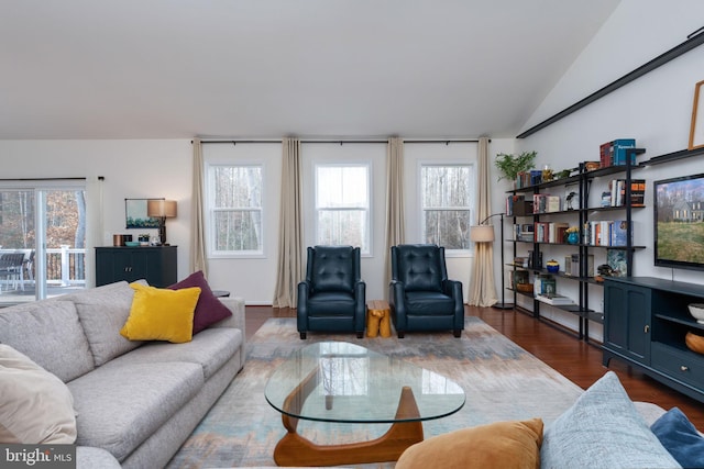 living room featuring a healthy amount of sunlight, lofted ceiling, and dark wood-type flooring