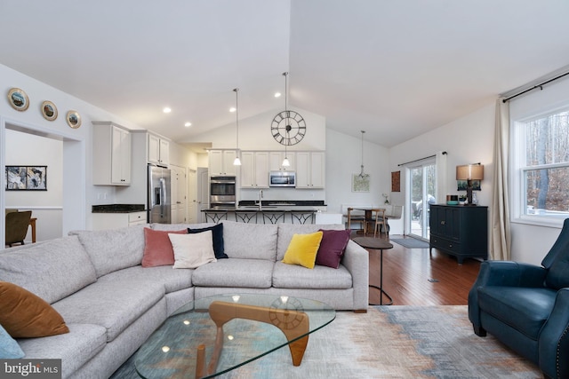 living room featuring lofted ceiling and dark wood-type flooring