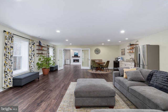 living room with dark hardwood / wood-style flooring and sink