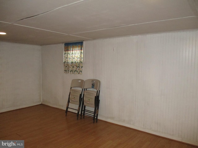 basement featuring wood-type flooring