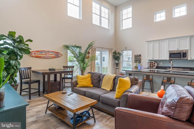 living room featuring light hardwood / wood-style floors and a high ceiling