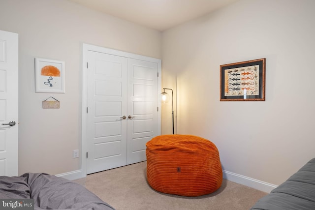 sitting room with light colored carpet