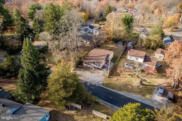 aerial view