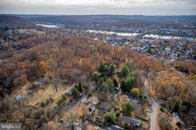 bird's eye view with a forest view