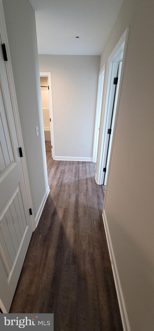 hall featuring dark hardwood / wood-style floors