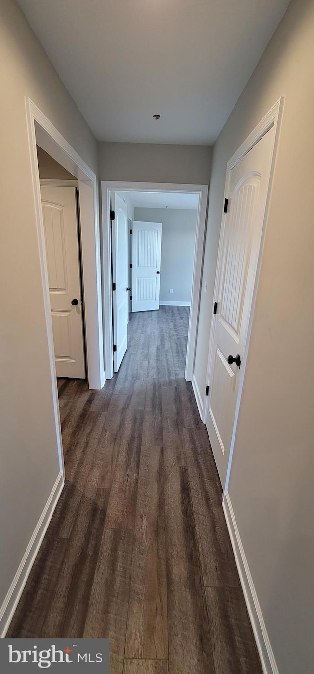 corridor featuring dark hardwood / wood-style flooring