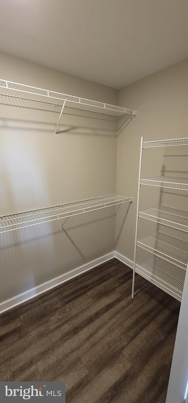 walk in closet featuring dark hardwood / wood-style floors