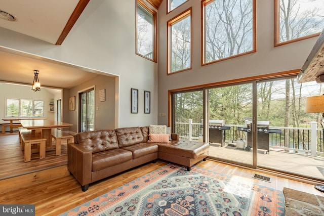 living room featuring hardwood / wood-style floors, a towering ceiling, and a wealth of natural light