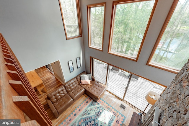 living room featuring hardwood / wood-style flooring and a healthy amount of sunlight