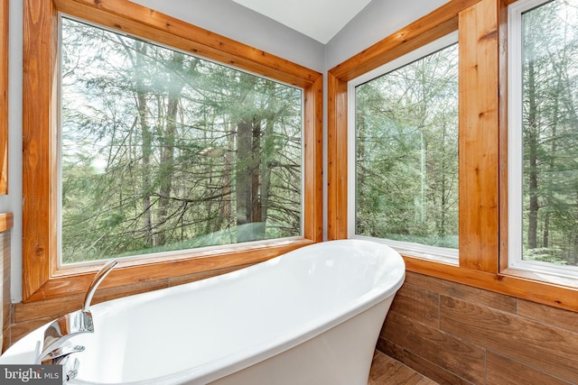 bathroom with a bathing tub