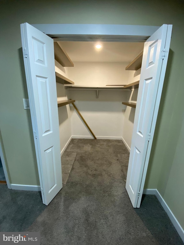 spacious closet with dark colored carpet