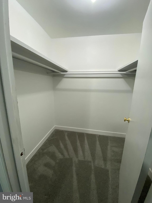 spacious closet featuring dark colored carpet