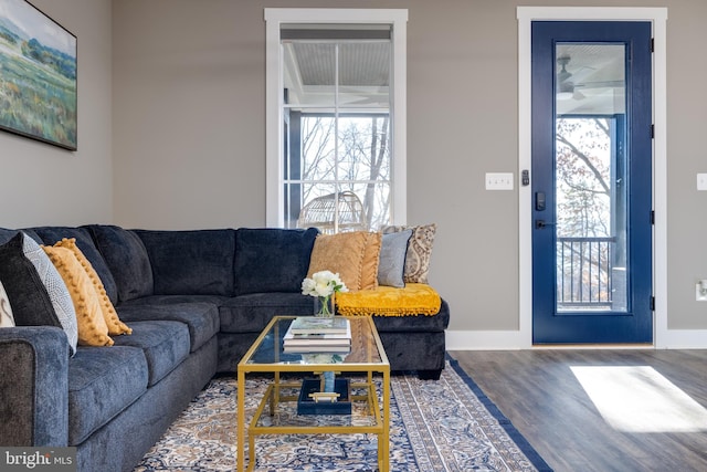 living room with wood-type flooring