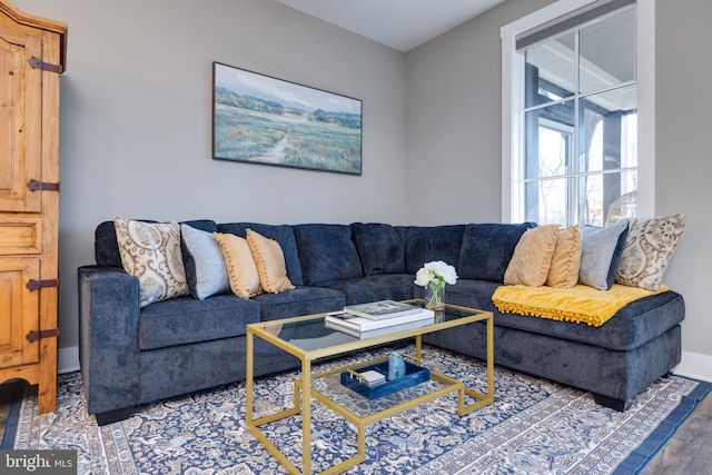 living room with hardwood / wood-style floors