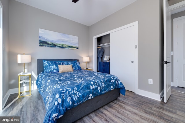 bedroom with wood-type flooring, a closet, and ceiling fan