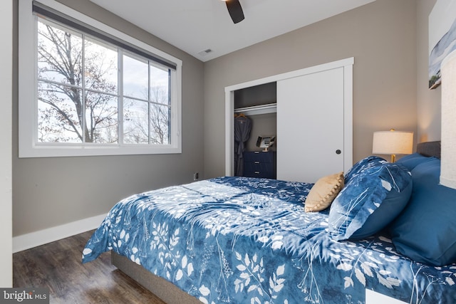 bedroom featuring dark hardwood / wood-style flooring, ceiling fan, and a closet