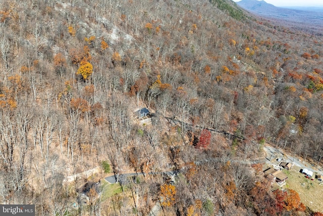 drone / aerial view with a mountain view