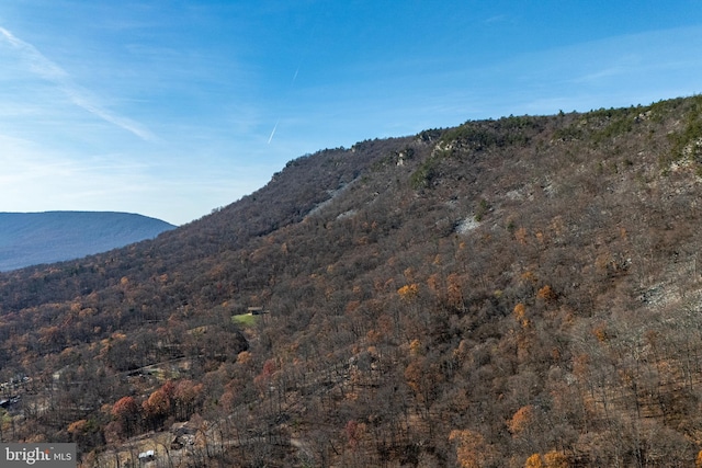 property view of mountains