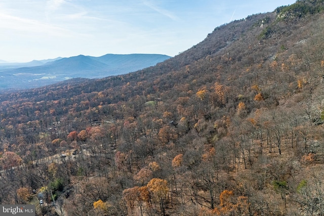 view of mountain feature