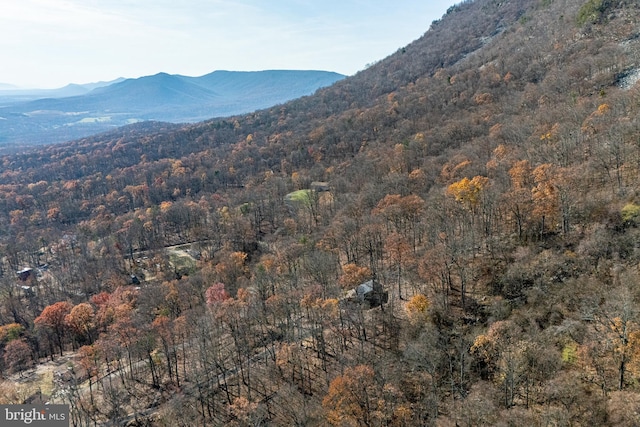 view of mountain feature