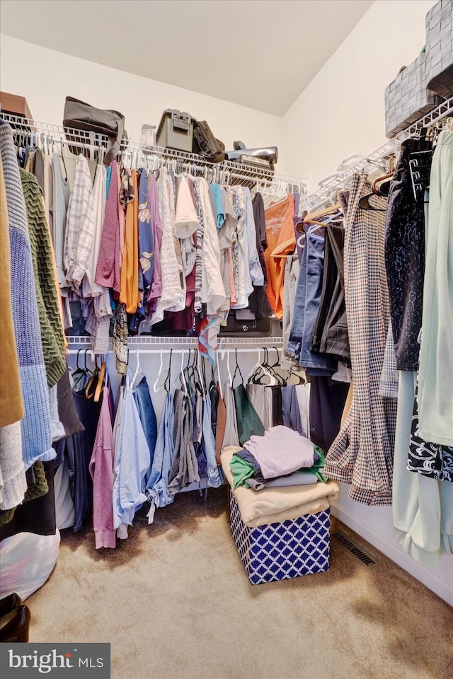 spacious closet with carpet